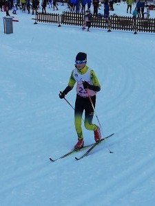 Veronesi Aurora 11